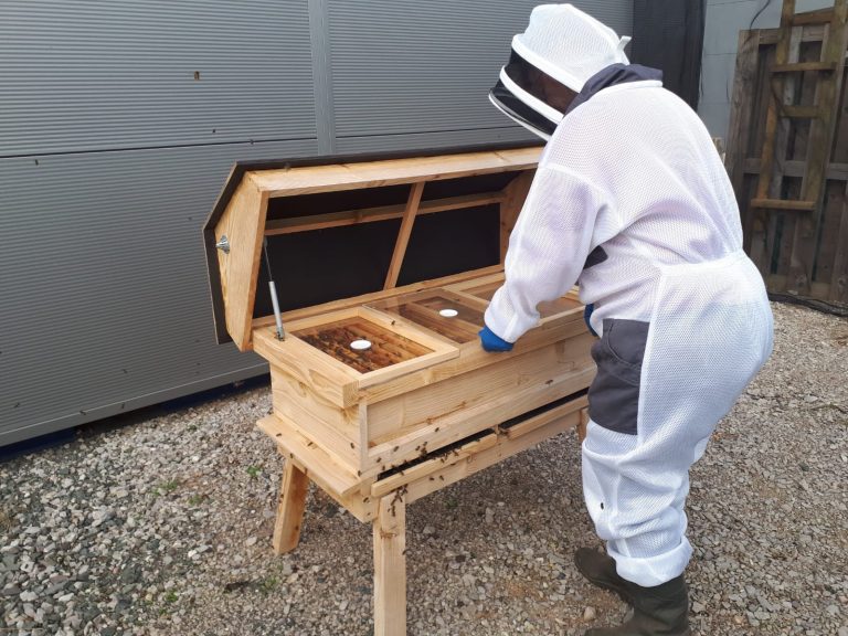 BEES SELF STORAGE